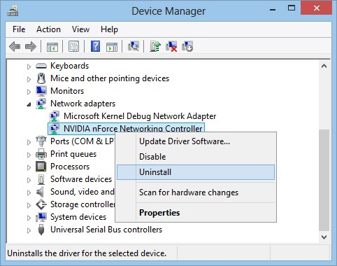 Microsoft kernel debug network. Сетевой контроллер NVIDIA NFORCE. Microsoft Kernel debug Network Adapter. Нфорс нетворк контроллер. How to install Network Adapter